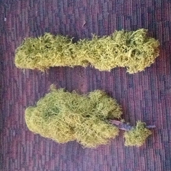 New! Never Used! Moss Branches. 11 Inches Long - Picture 2 of 6